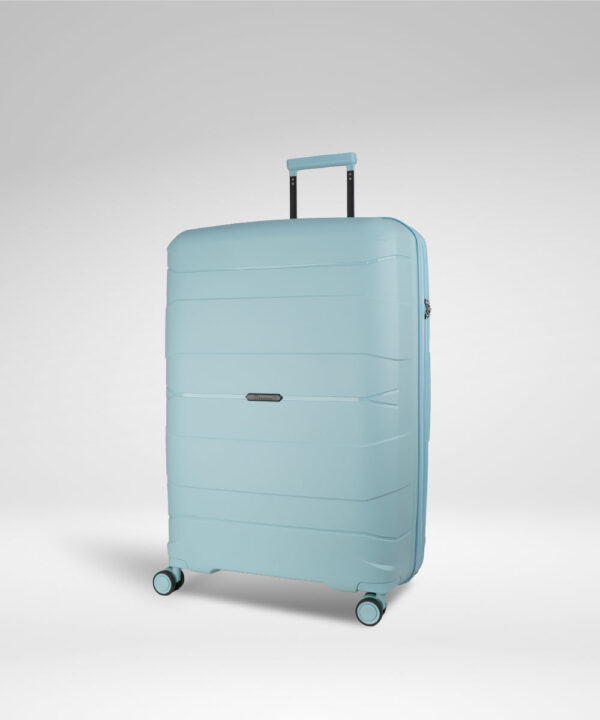 IT Luggage Momentous